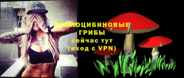 прущая мука Михайлов
