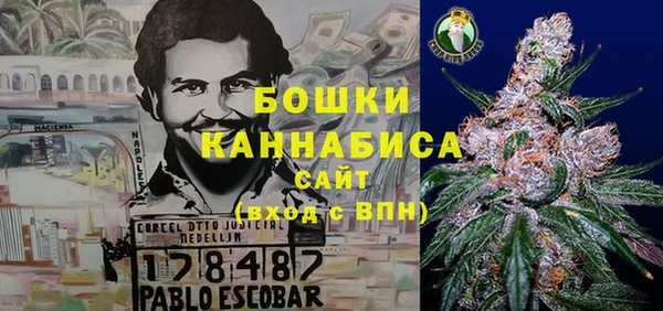 индика Абаза
