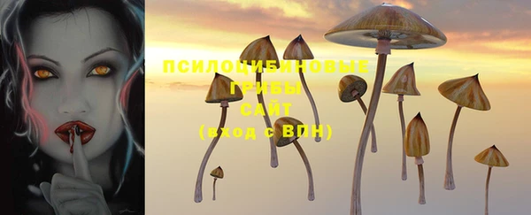 молекула духа Абинск