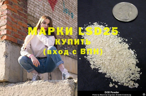 индика Абаза
