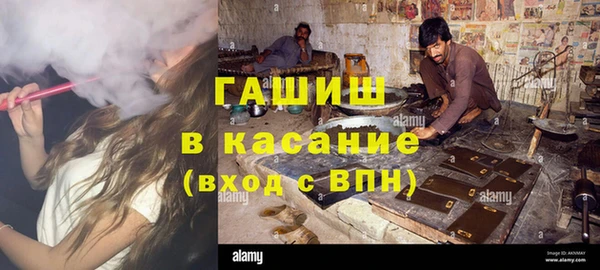 индика Абаза