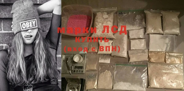 индика Абаза