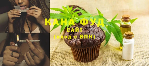 индика Абаза