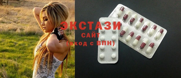 индика Абаза