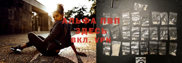 индика Абаза