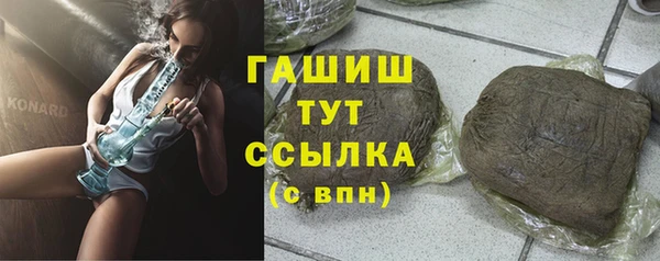 индика Абаза