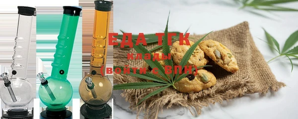 индика Абаза
