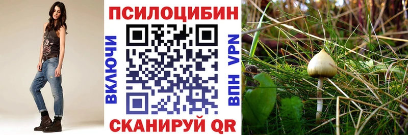 дарнет шоп  нарко площадка Telegram  Псилоцибиновые грибы Magic Shrooms  Кисловодск 